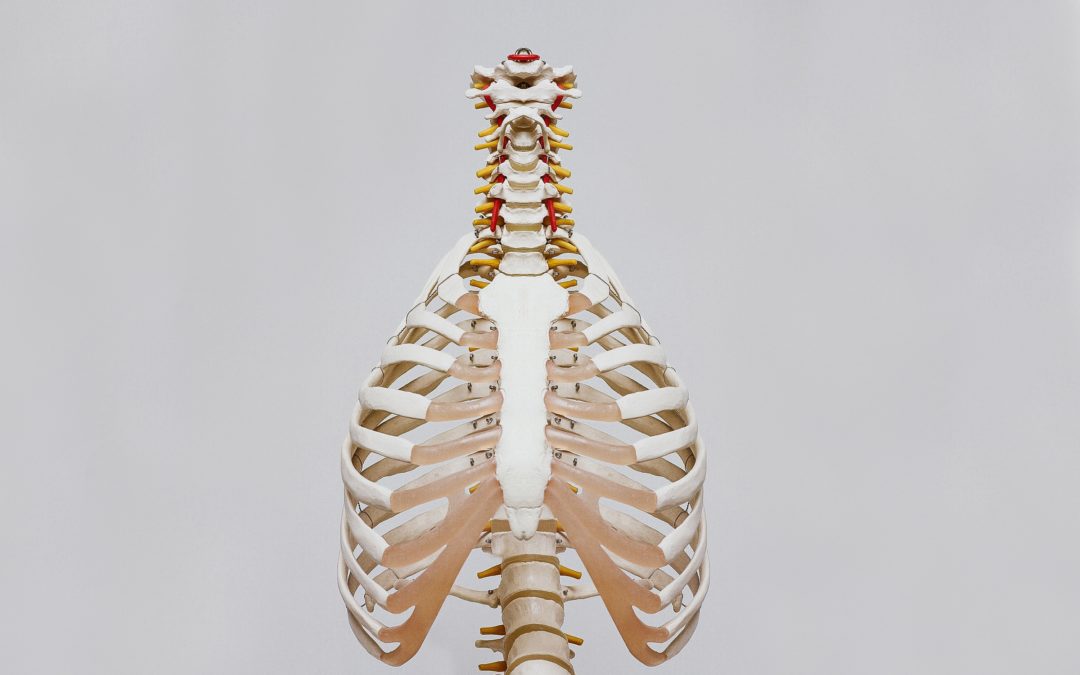 What Exactly Does a Chiropractor Do?